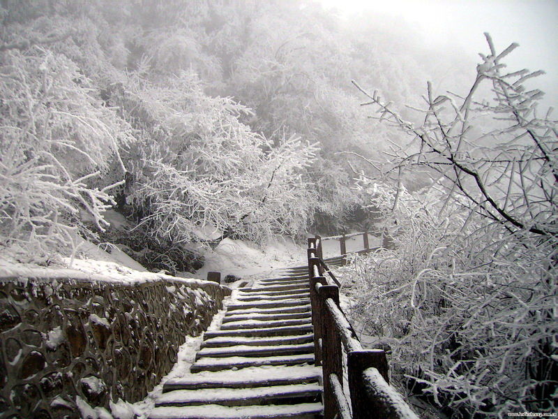 雪花飘落.jpg