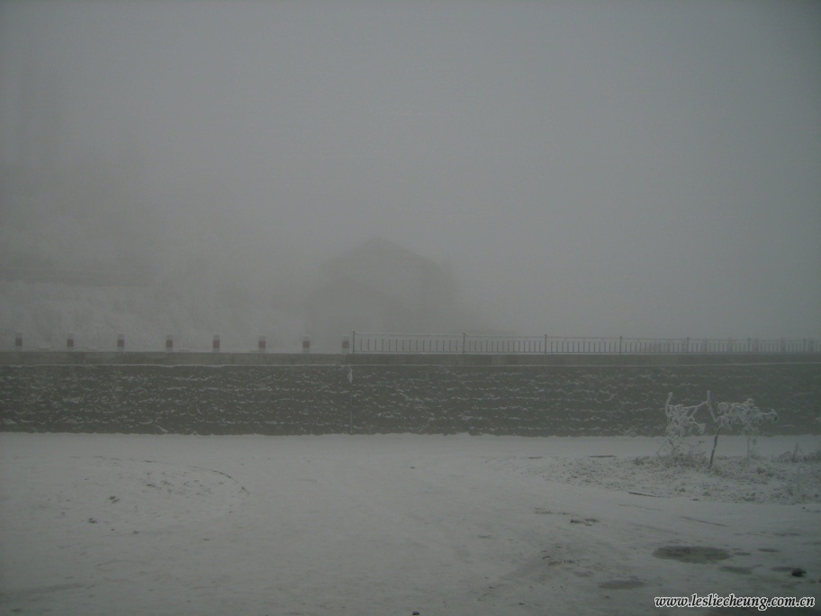 雾中雪景.jpg