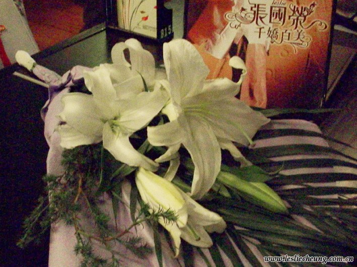 20080412仁和春天_花2小.jpg