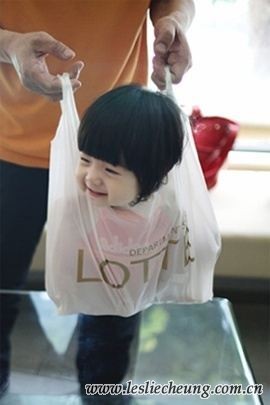 14020752.jpg