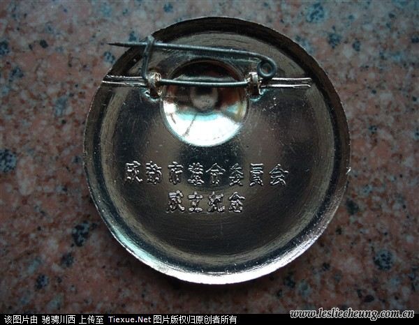 14175135.jpg