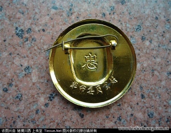 14175122.jpg