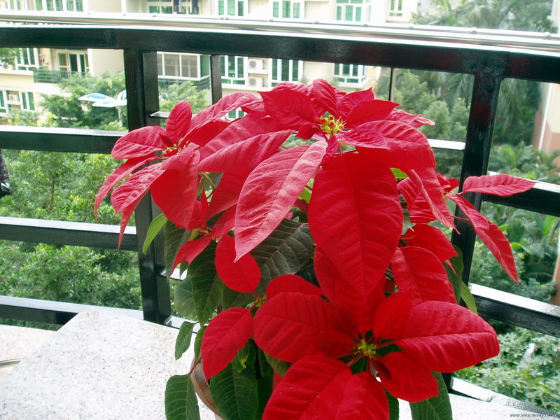 P1010036.JPG