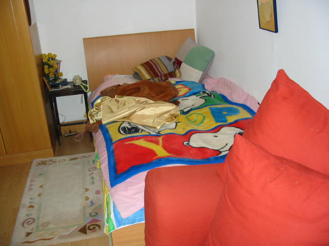 BCD23_1132454272.jpg