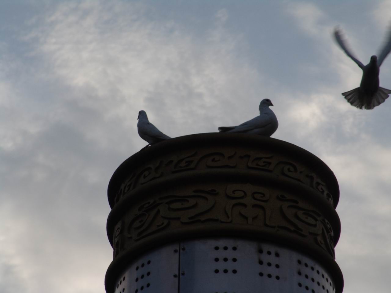 DSC00046_1168693503.jpg
