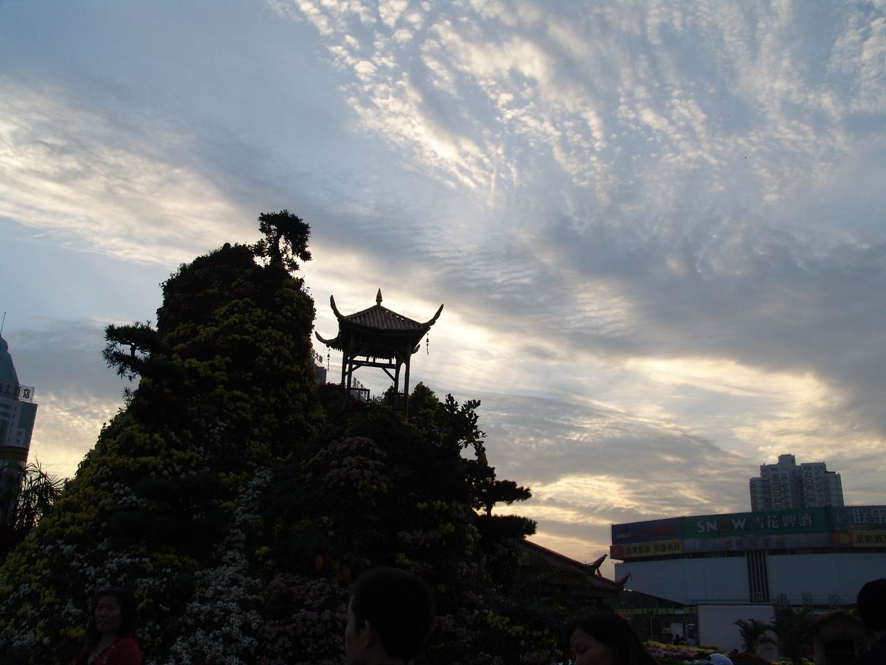 DSC00080_1168693575.jpg