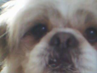 D5D5C6AC20047_1120925807.jpg