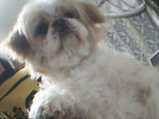 D5D5C6AC20049_1121267562.jpg