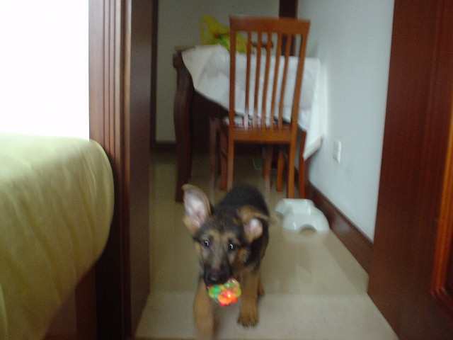 DSC00539_1121838847.jpg