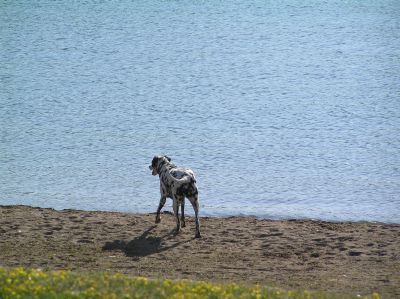 beach_1120967766.jpg
