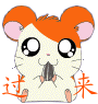 85594CE824CC8C1C_1123319932.gif