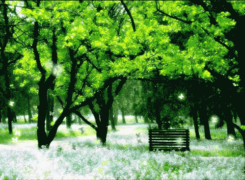300434_1138344837.gif