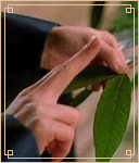 21_1110615119.gif