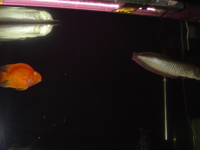 DSC02483_1136893767.jpg