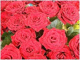 28_1122198911.jpg