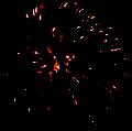D1CCBBA8_1120569250.jpg