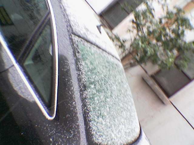Image002_1141732155.jpg