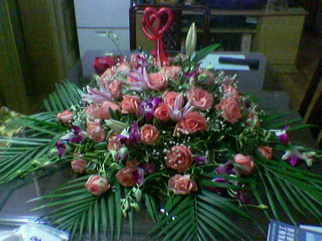 Image005_1141732183.jpg