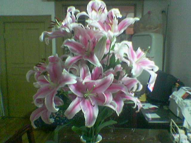 Image022_1141732193.jpg