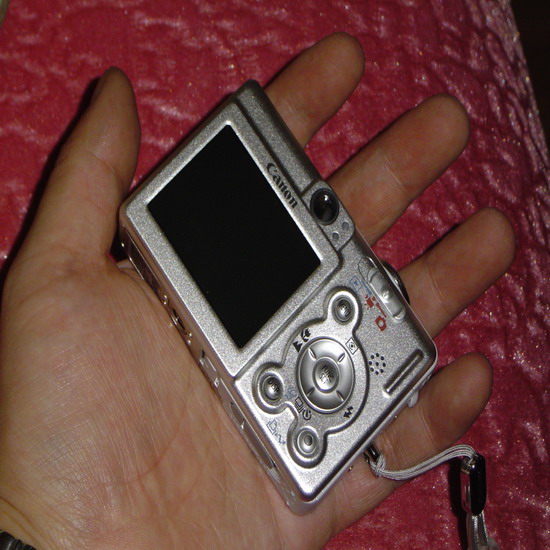 222_1107562490.jpg