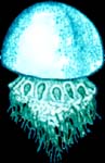 13b_1142871424.jpg