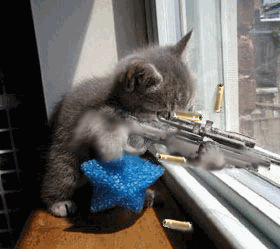 2005224135648236_1149932676.gif